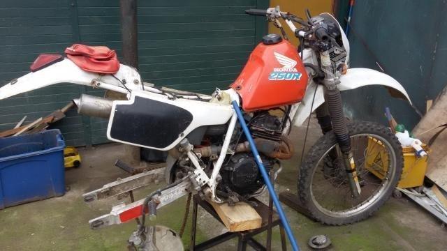 Honda xr 250