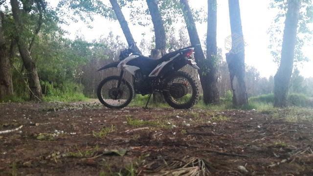 Lifan 250 DKR