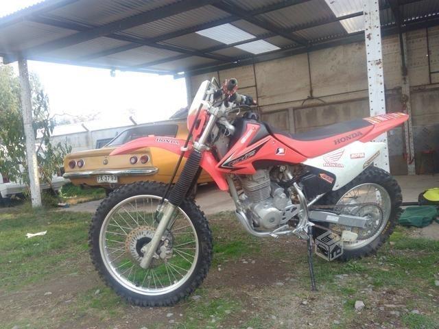 Crf 230