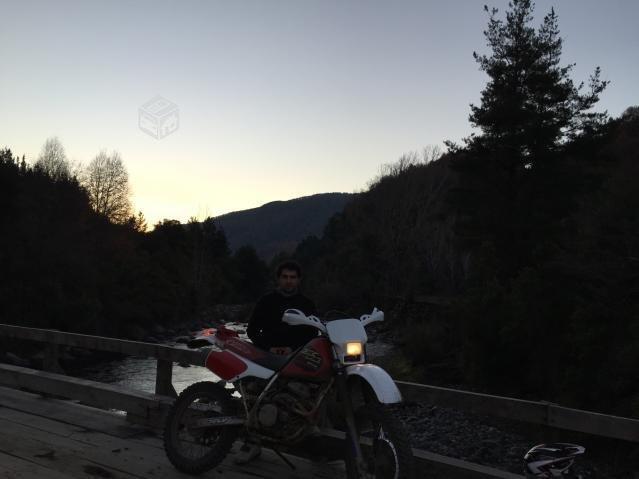 Honda xr 250 r