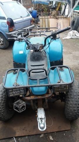 Quard Runner 160cc Suzuki