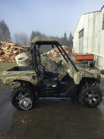 Buggy UTV Kawasaki Teryx