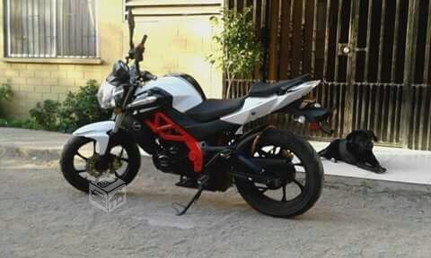 Um street 230 cc 2016