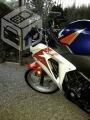 Honda cbr 250