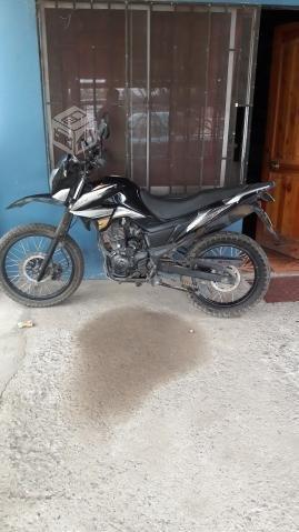 Loncin 150 permuto