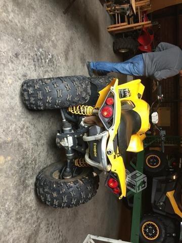 Can am renegade 800cc