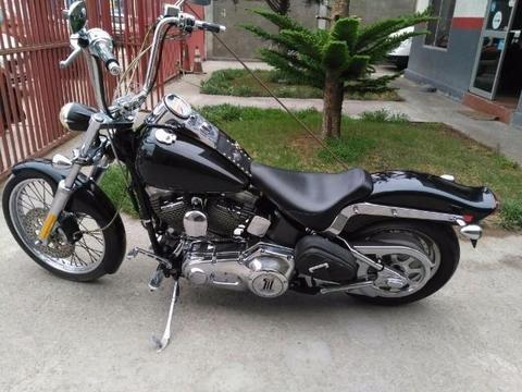 Harley davidson softail 1.450 cc