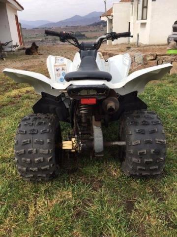 Yamaha raptor 90