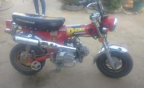 moto dax