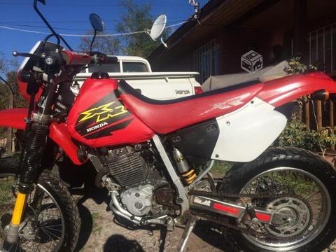 Honda xr250R al día