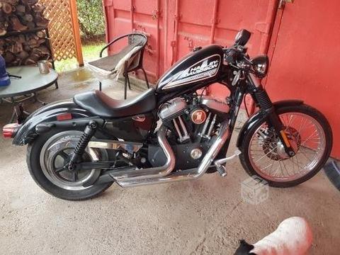 Harley davidson 883