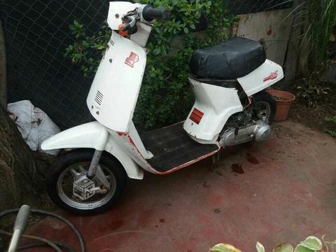 Honda Tac 50 cc