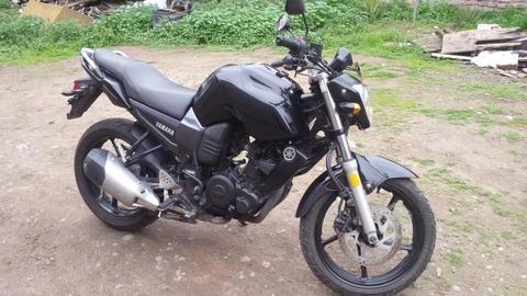Moto Naked Yamaha Fz 16 150 cc