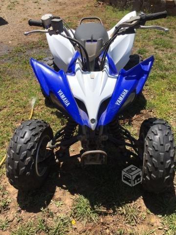 Yamaha raptor 250