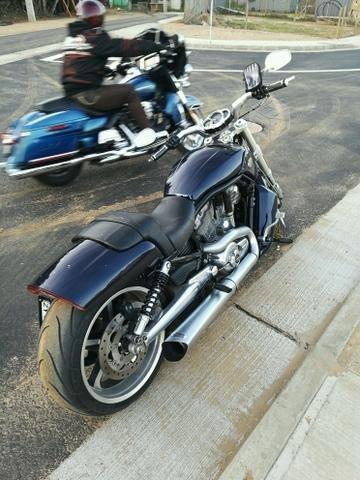 Harley Davidson Vrod Muscle Big Pearl Blue