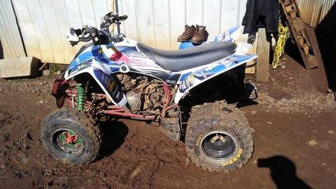 Yamaha raptor 350 conversarble