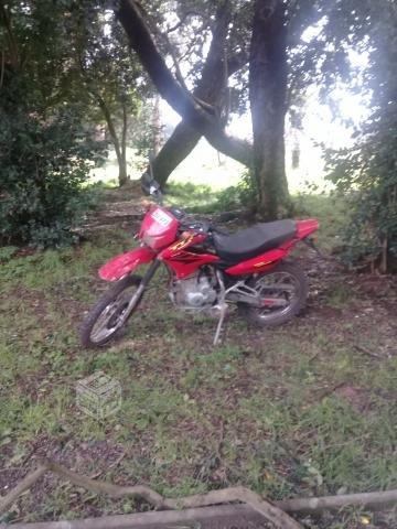 moto rras 250cc