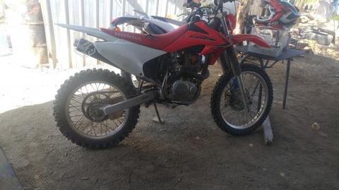 Crf 230