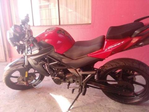 UM Xtreet 200
