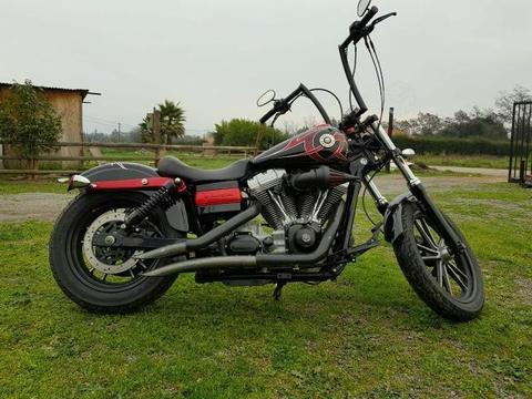 Harley Davidson Dayna ultra glide