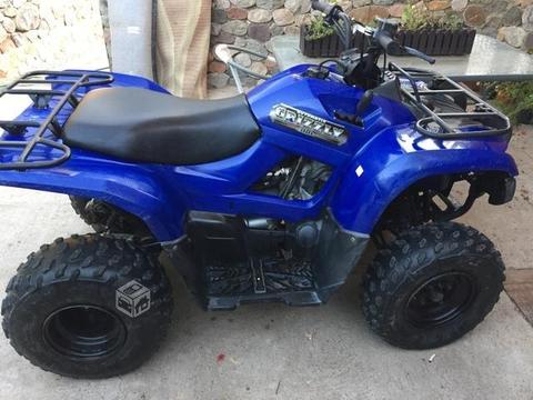 Yamaha grizzly 300 impecable