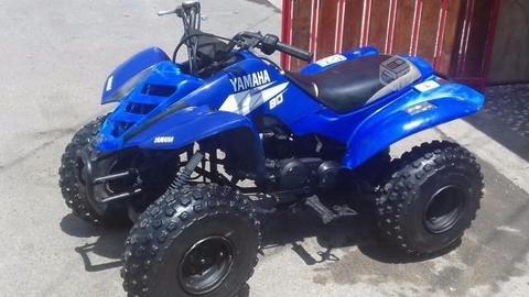 Yamaha raptor para niños