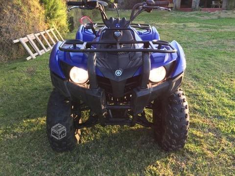 Yamaha grizzly 300 conversable