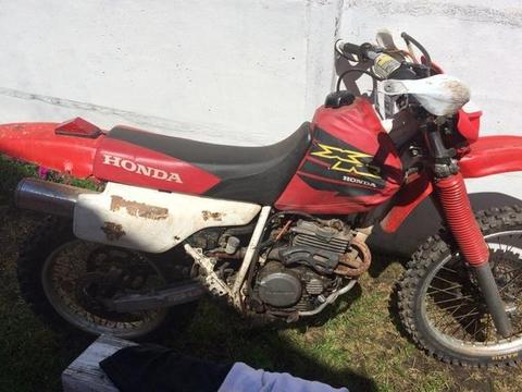 Honda xr250r andando