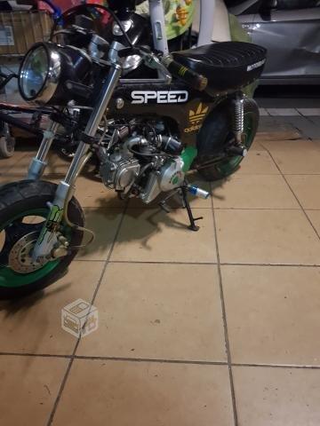 moto Dax