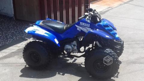 Yamaha raptor