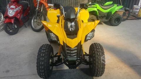 Ds 250 can am