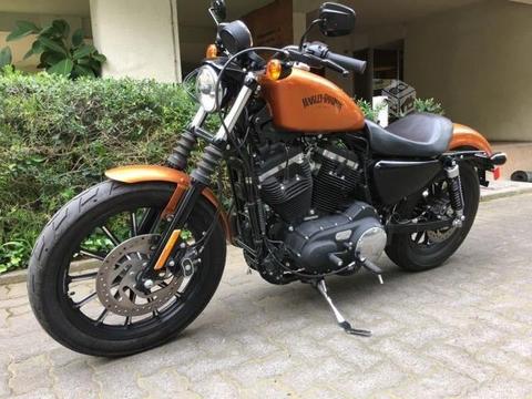 Harley 883 Sportster Iron