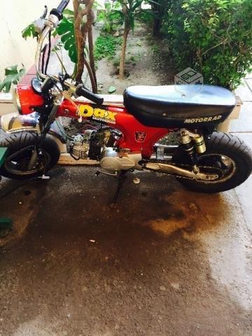 Dax 125 cc