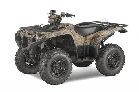 Busco: Yamaha Grizzly