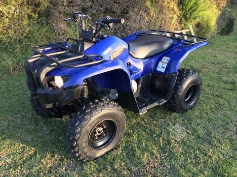 Yamaha Grizzly 300cc conversable
