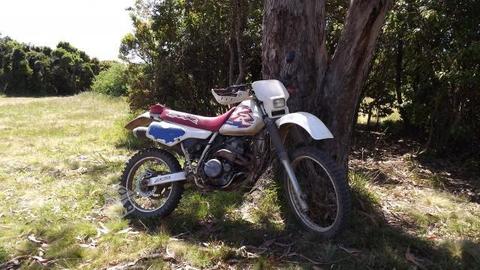 Honda xr250