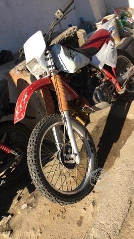 Xlr 250