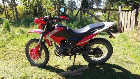 Moto motorrad ttx 250