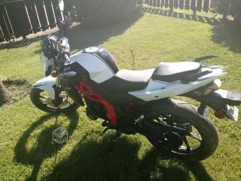 Moto UM XTREED 230R