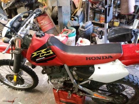 Honda xr 2001