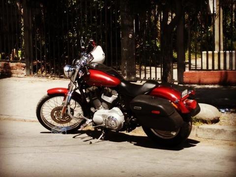 Harley Davidson Sportster 883 Custom