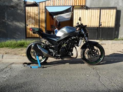 Kawasaki 300 naked abs