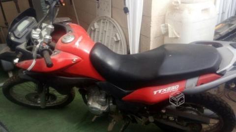 Motorad TTX 250