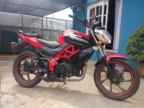 UM xtreet 200 cc