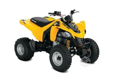 Can Am DS 250, 2013