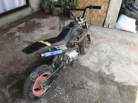 Pit bike 100 cc