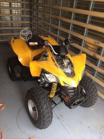 Moto Can AM DS-250