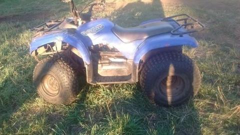 Yamaha grizzly125