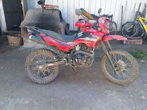 Moto Enduro UM200 DSR