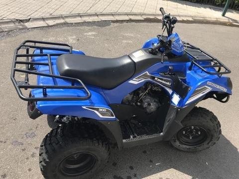 Kawasaki 300 brute force